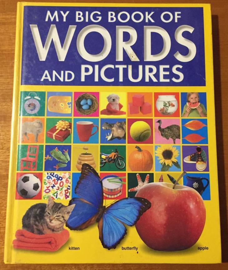 My Big Book of Words and Pictures & My Very First Encyclopedia (Set of 2 Books) Books Hinkler Books & Disney 